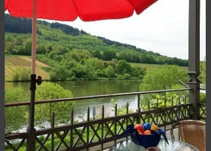 Moselmerle * Zell an der Mosel